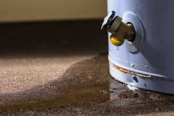 Best Basement water damage restoration  in Frontenac, KS