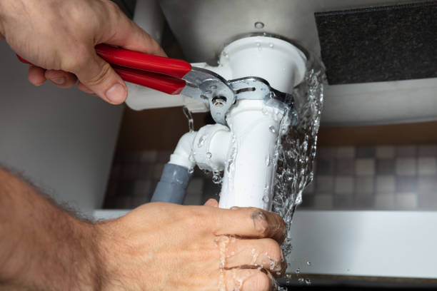 Best Local water damage restoration  in Frontenac, KS
