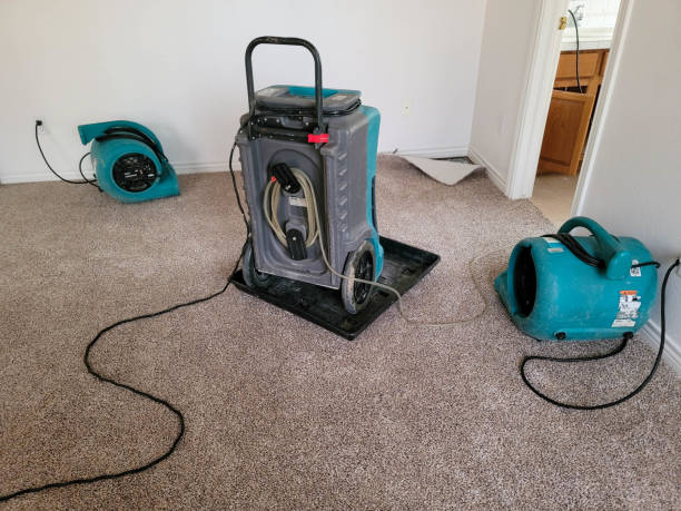 Best Ceiling water damage repair  in Frontenac, KS