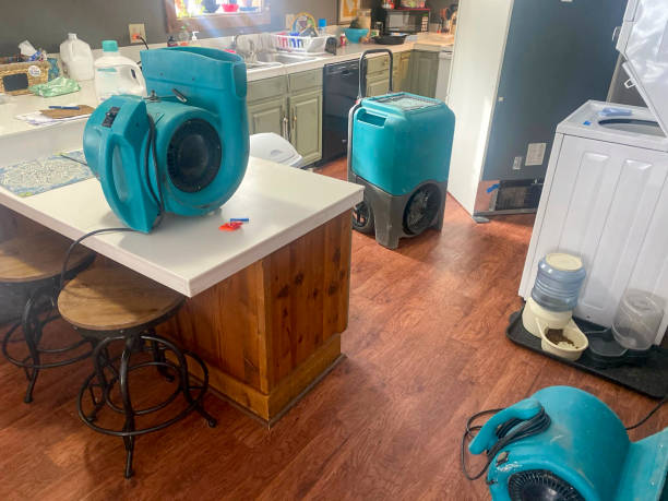 Best Commercial water damage restoration  in Frontenac, KS