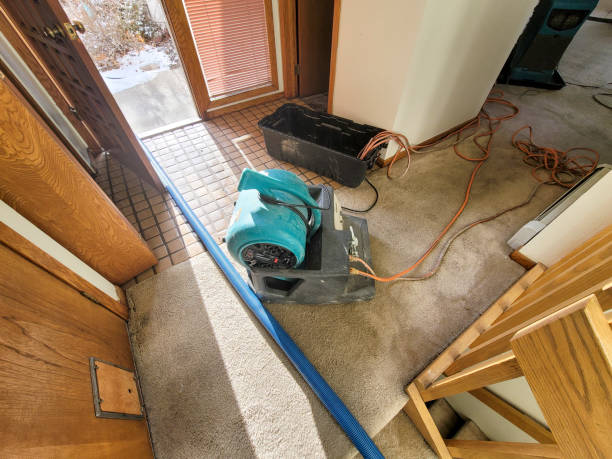 Best Water damage restoration near me  in Frontenac, KS
