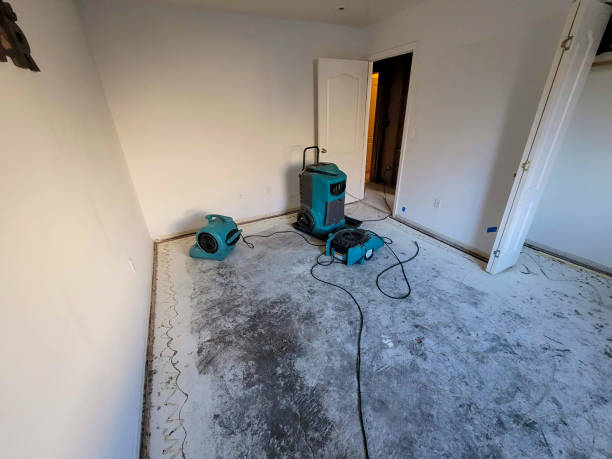 Best Water damage restoration cost  in Frontenac, KS