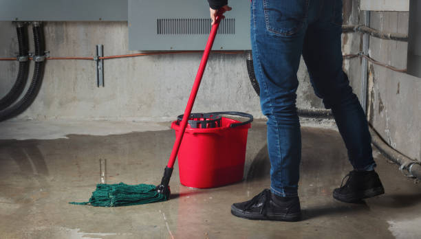 Best Professional water damage repair  in Frontenac, KS