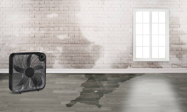 Best Water damage restoration near me  in Frontenac, KS