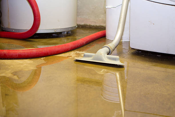Best Mold removal after water damage  in Frontenac, KS