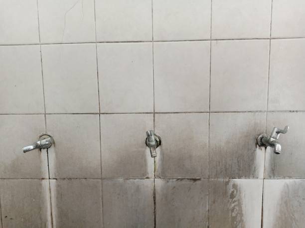Best Carpet water damage restoration  in Frontenac, KS
