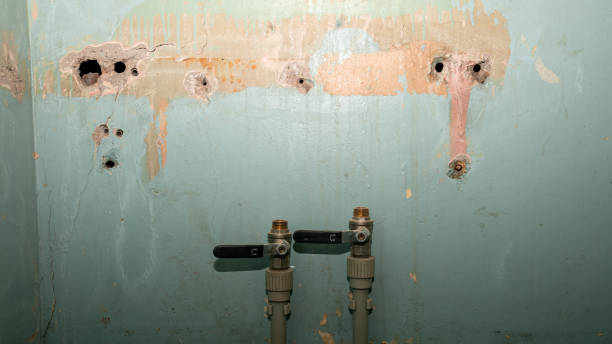 Best Water damage cleanup near me  in Frontenac, KS
