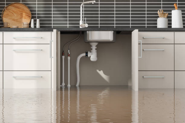 Best Flood damage cleanup  in Frontenac, KS