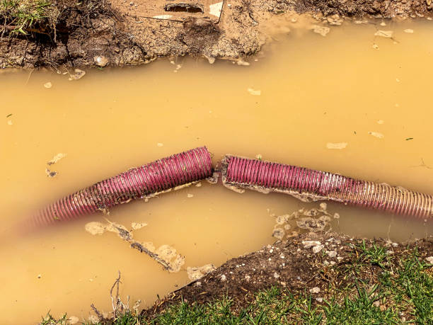 Carpet water damage restoration in Frontenac, KS