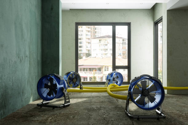 Best 24/7 water damage repair  in Frontenac, KS